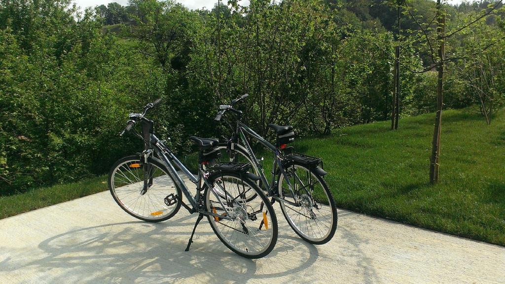 Ortenia Apartments In Nature Podcetrtek Ruang foto